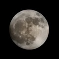 Moon Profile Photo